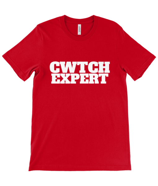 Cwtch Expert T-shirt - Image 2